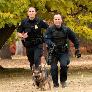 Two officers and canine in pursuit on foot