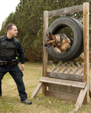 Police officer training with service dog